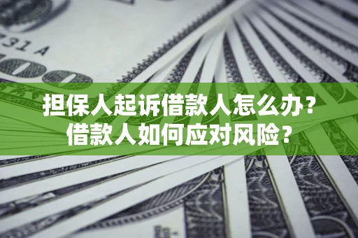 北京担保人起诉借款人怎么办？借款人如何应对风险？